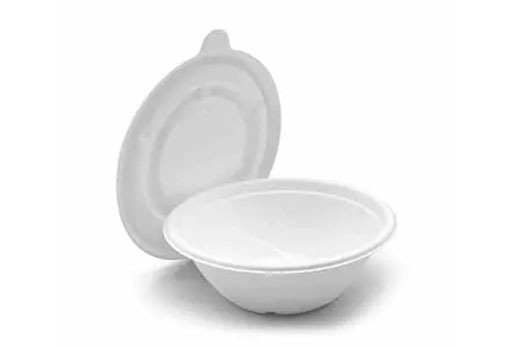 Innovation verte: la polyvalence du matériel d'emballage de bagasse Innovation verte: la polyvalence du matériel d'emballage de bagasse