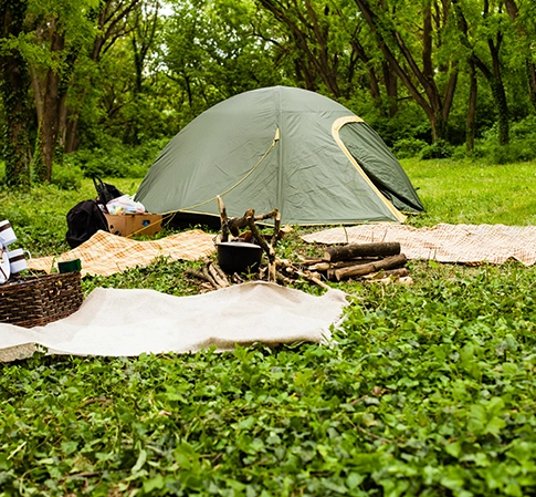 Vaisselle compostable dans le camping