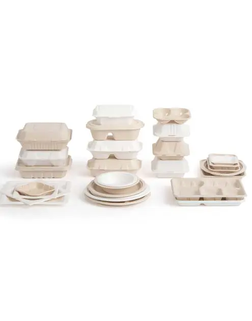 Durabilité des emballages alimentaires compostables de Luzhou Pack