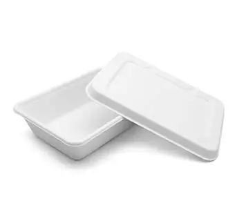 650 ml bon verrouillage portable biodégradable résistant à l'eau Stockage des aliments Bagasse Fibre Deli Boîte carrée