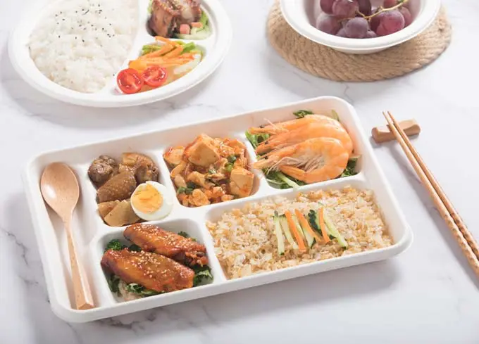 L'impact environnemental des plateaux compostables du pack Luzhou