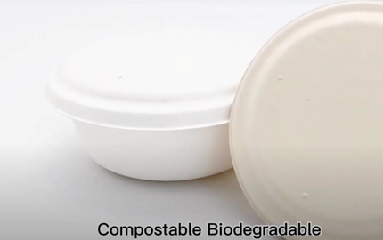 Bol rond biodégradable jetable Bagasse