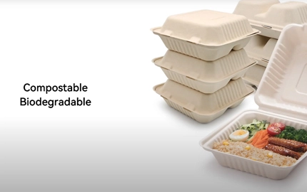 Clamshell à fibre de bagasse biodégradable