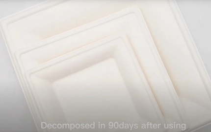 Plaque carrée à base d'usine de bagasse compostable