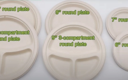 Assiette jetable à emporter en fibre de pâte écologique