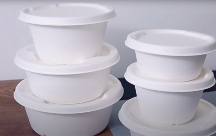 Bol biodégradable jetable Bagasse de canne à sucre