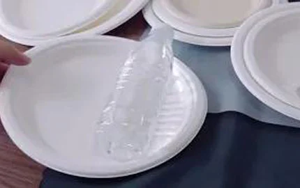 Plaque ronde jetable à base de plantes de Bagasse biodégradable durable