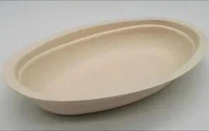 Bol jetable en fibre de bagasse de canne à sucre compostable