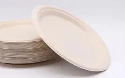 Plaque ovale en fibre de bagasse jetable compostable