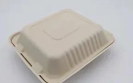 Boîte à clapet à 3 pouces, jetable à base de plantes biodégradable durable de 8 pouces