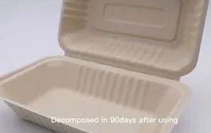 Boîte à clapet jetable à base de plantes de fibre de bagasse biodégradable durable de 900ml