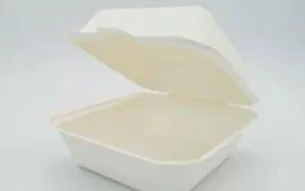 Bagasse jetable biodégradable 6 pouces Hamburger Clamshell Boîte