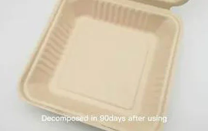Boîte à clapet de 9 pouces à base de plante Bagasse biodégradable durable de canne à sucre