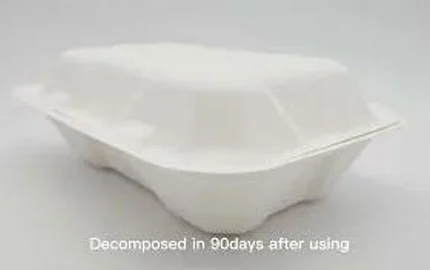 Bagasse de canne à sucre jetable, boîte à clapet biodégradable de 850ml
