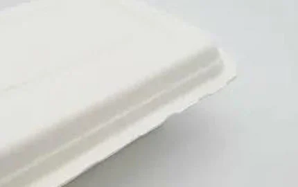 Boîte à clapet jetable à base de plantes biodégradable durable de 450ml