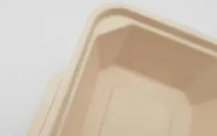 Boîte à clapet jetable à base de plantes biodégradable durable de 600ml