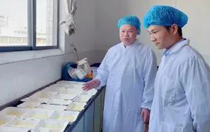 Vidéo en direct de la base de production 3-1