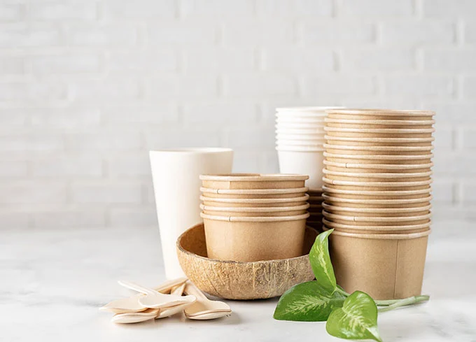 Comparaison des tasses compostables Luzhou Pack à d'autres tasses réutilisables