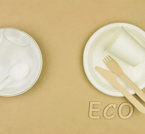 Vaisselle compostable pour le consommateur