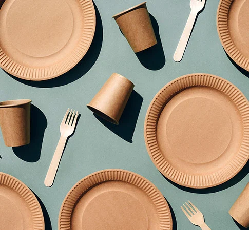 Vaisselle compostable utilisée dans le restaurant