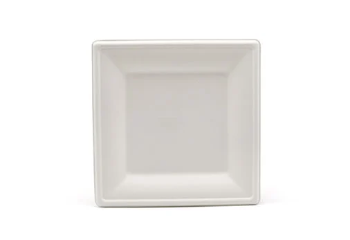Pourquoi les gens veulent acheter une assiette compostable avec compartiments Pourquoi les gens veulent acheter une assiette compostable avec compartiments