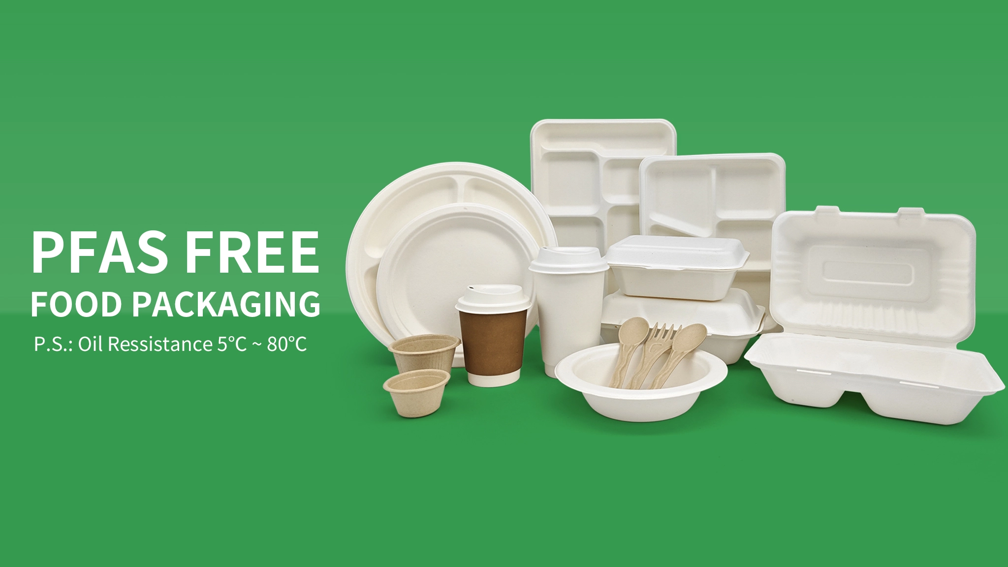 Vaisselle biodégradable en gros: la révolution verte pour une restauration élégante et durable Vaisselle biodégradable en gros: la révolution verte pour une restauration élégante et durable