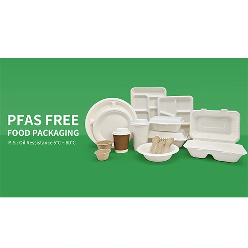 Enviro-Packs: dévoiler le royaume verdant des conteneurs à emporter biodégradables en gros Enviro-Packs: dévoiler le royaume verdant des conteneurs à emporter biodégradables en gros