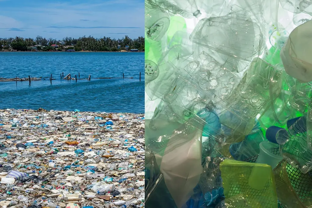 Élégance éco-consciente: le conte des assiettes à dîner en plastique et de la montée de la bagasse Élégance éco-consciente: le conte des assiettes à dîner en plastique et de la montée de la bagasse