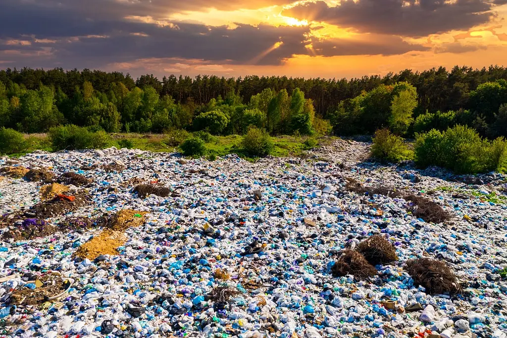Prendre position pour l'environnement: dire non au plastique et opter pour la durabilité Prendre position pour l'environnement: dire non au plastique et opter pour la durabilité