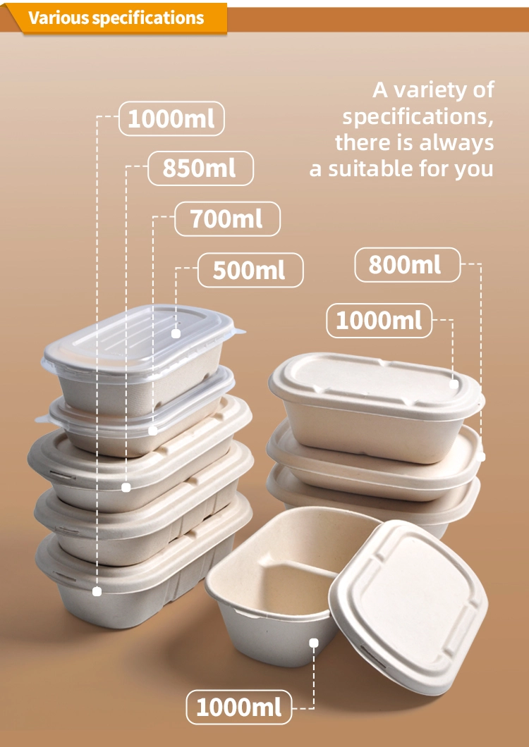 Éclairé écologiquement: dévoilement du monde de gros des contenants alimentaires biodégradables Éclairé écologiquement: dévoilement du monde de gros des contenants alimentaires biodégradables